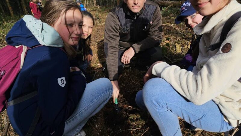 Löwengrundschule in Hückeswagen: In Herweg entsteht ein neues Waldstück