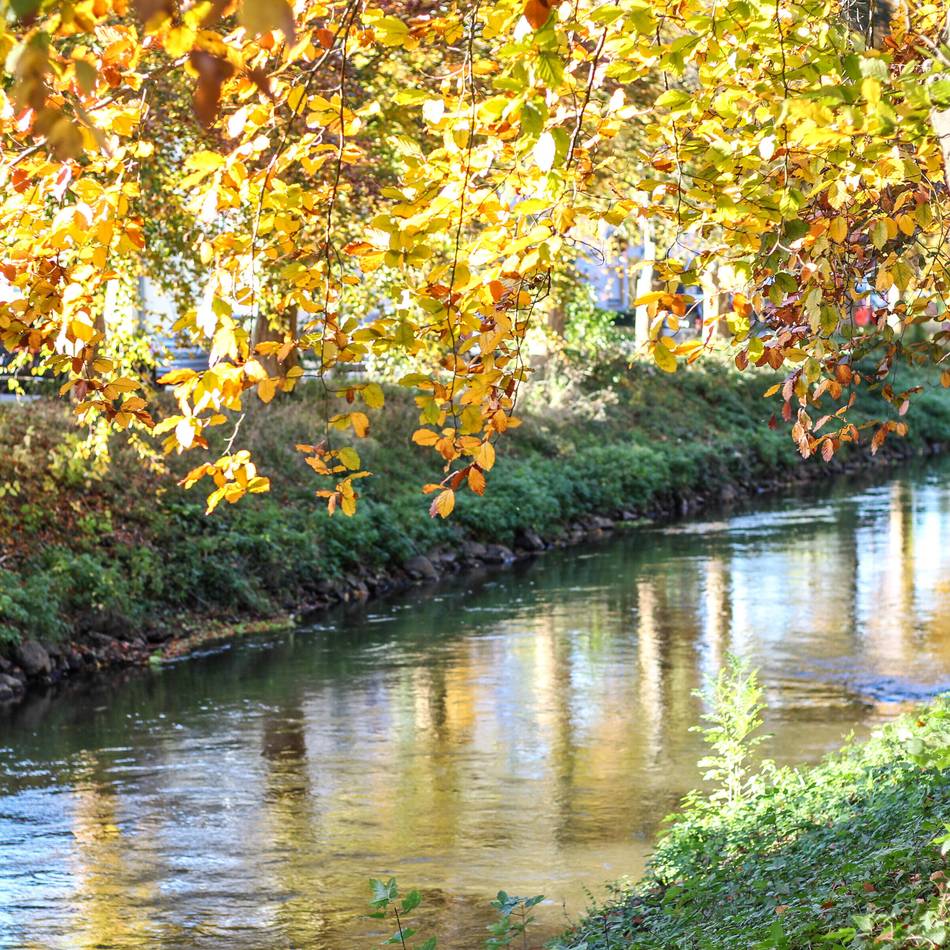 Neues Update zur Renaturierung: „Der ökologische Zustand der Erft ist schlecht“
