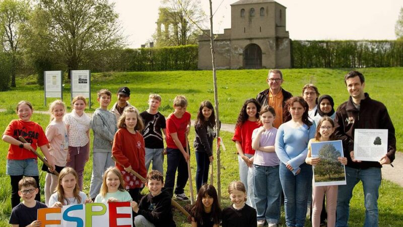 Baum des Jahres 2026: Kinder pflanzen Zitterpappel am APX