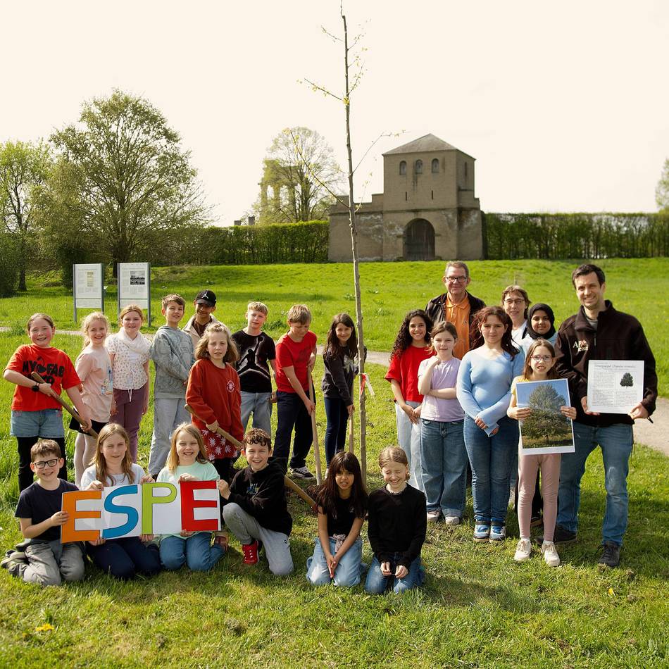 Baum des Jahres 2026: Kinder pflanzen Zitterpappel am APX