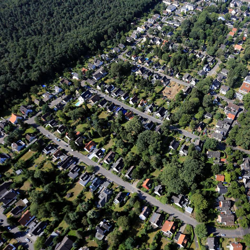 Debatte in Leverkusen: Baumschutzsatzung – Naturschutz oder Gängelung der Bürger?