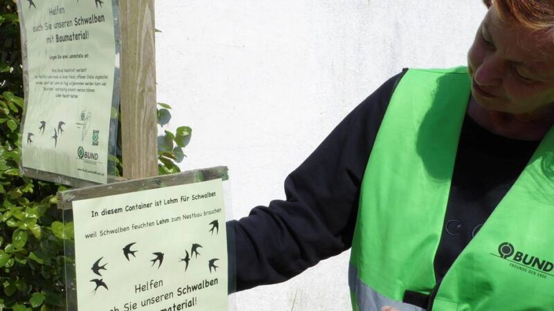 Naturschutz in Jüchen: Schwalben finden kein Baumaterial mehr für ihre Nester