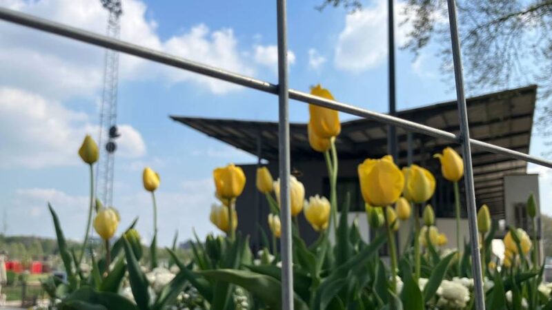 Ticketpreis-Debatte: Warum eine Neusser Rentnerin die Laga boykottiert