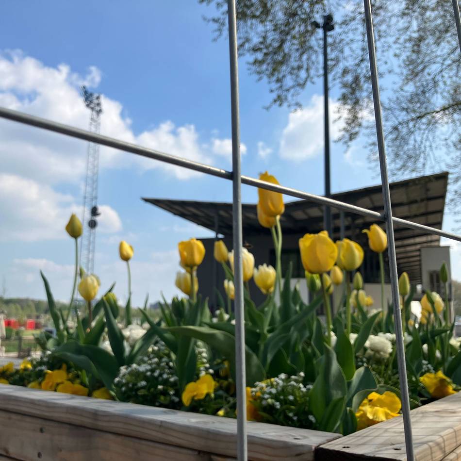 Ticketpreis-Debatte: Warum eine Neusser Rentnerin die Laga boykottiert