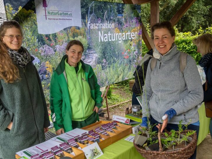 Pflanzentauschbörse auf dem Tuppenhof in Vorst: Im Bauerngarten wechseln Pflänzchen und Gartentipps den Besitzer