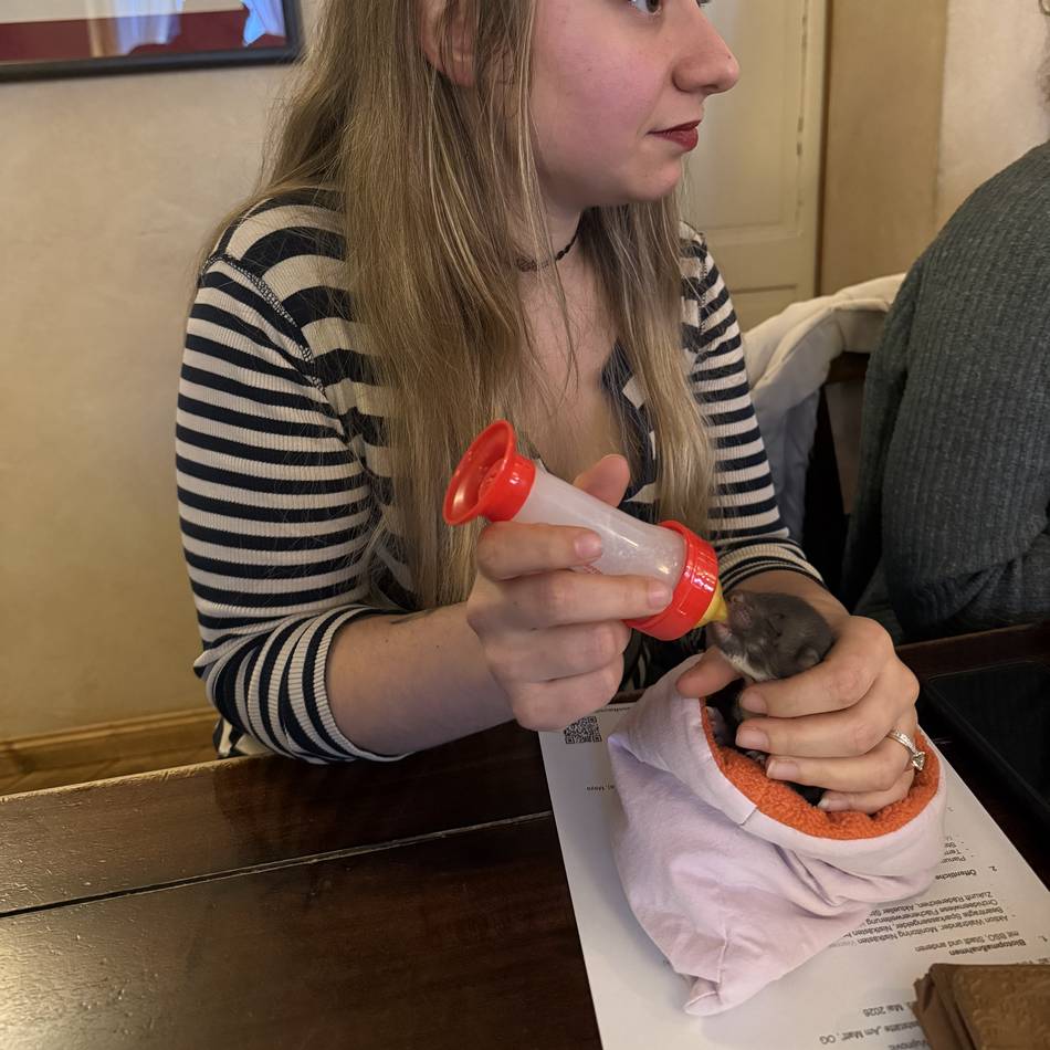 Tierschutz in Radevormwald: Marder-Baby „Nudel“ hat eine Ersatz-Mama