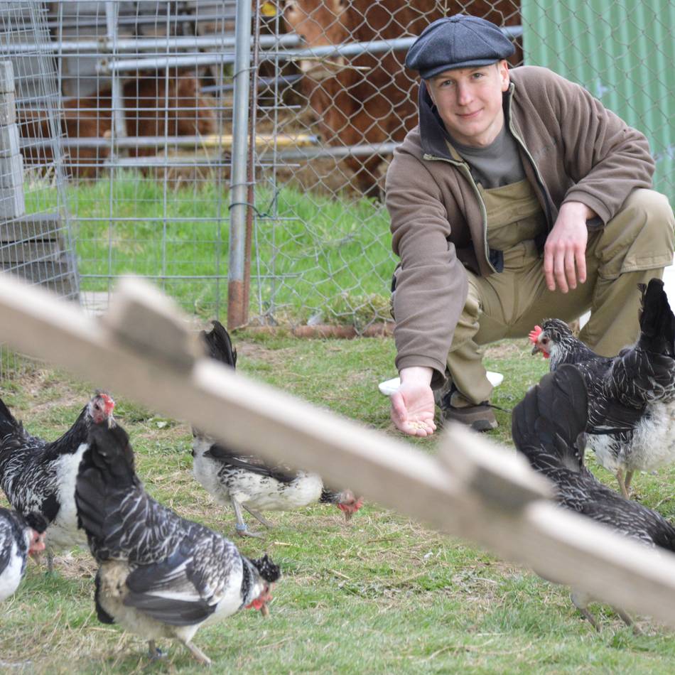 Schlüpfzeit bei den Rassegeflügelzüchtern in Wermelskirchen: Wenn Küken zu großen Stars werden