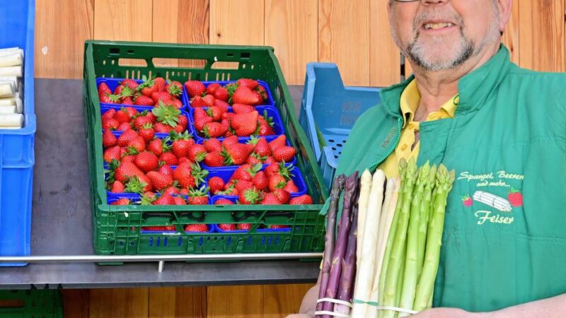 Neues Trendgemüse in Dormagen: „Purpur-Spargel ist der nächste Stern am Horizont“