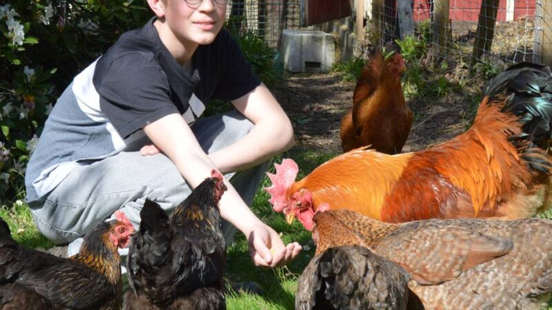 Landwirtschaft in Wermelskirchen: Söhnke träumt von seinem eigenen Hof