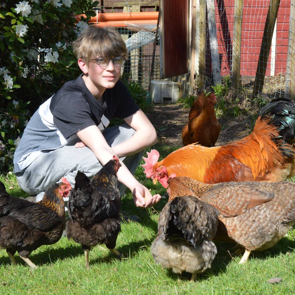 Landwirtschaft in Wermelskirchen: Söhnke träumt von seinem eigenen Hof