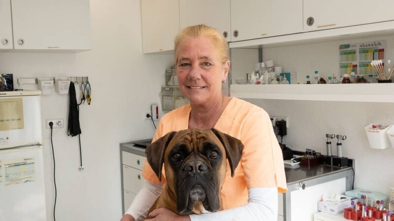 Wildtier-Aufnahme gestoppt – Kritik an Stadt Neuss: „Wer möchte schon für die Behandlung eines fremden Tieres bezahlen?“