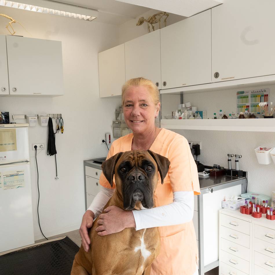 Wildtier-Aufnahme gestoppt – Kritik an Stadt Neuss: „Wer möchte schon für die Behandlung eines fremden Tieres bezahlen?“