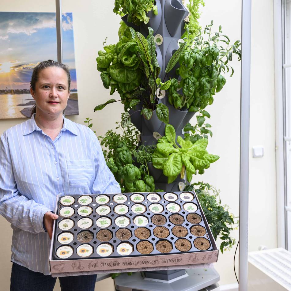 Kaarsterin will Kita beschenken: Wenn der Salat im Wohnzimmer wächst