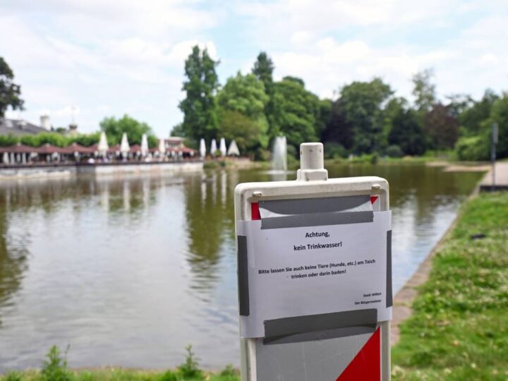 Wasserstand im Konrad-Adenauer-Park in Willich: Teich im Park wird nicht mehr aufgefüllt