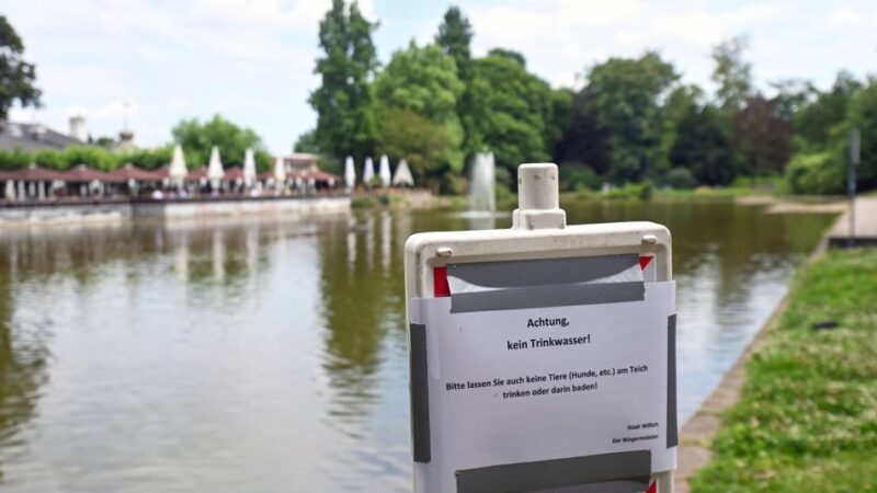 Wasserstand im Konrad-Adenauer-Park in Willich: Teich im Park wird nicht mehr aufgefüllt