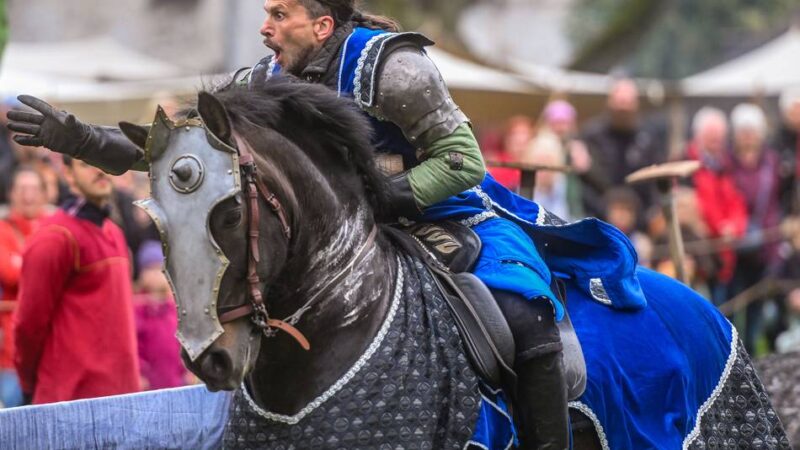Ritterturnier in Moers: „Die unmittelbare Nähe zum Publikum ist das Besondere“