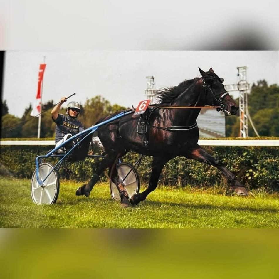 Osterrenntag in Sonsbeck: Pferderennen als Familienevent
