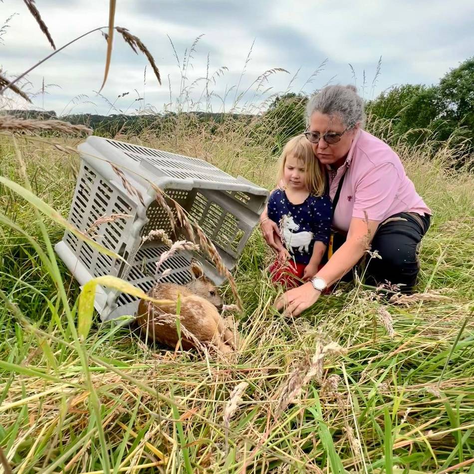 Start der Mahdsaison in Wermelskirchen: „Mit der Drohne finden wir mittlerweile das Dreifache“