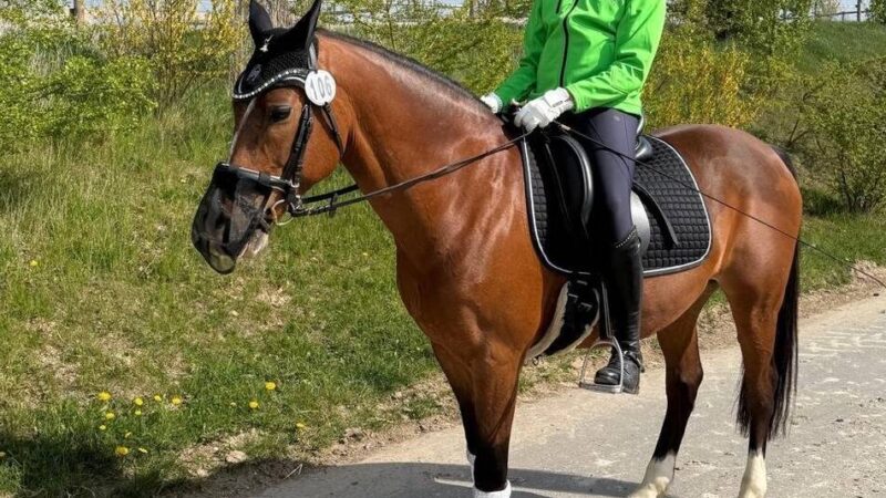 Nachwuchsreiterin vom RV Eversael: Johanna Barten ragt beim Bundes-Vierkampf heraus