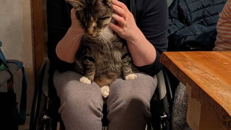 Long-Covid-Selbsthilfegruppe in Nettetal: „Wir sind die Übriggebliebenen“