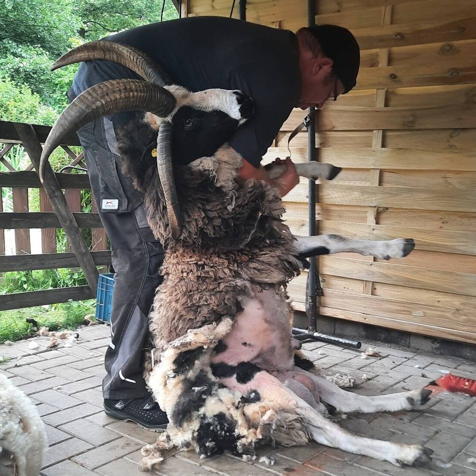 Frühlingsfest und Kindertrödelmarkt: So startet der Tiergarten Kleve in die Frühjahrssaison