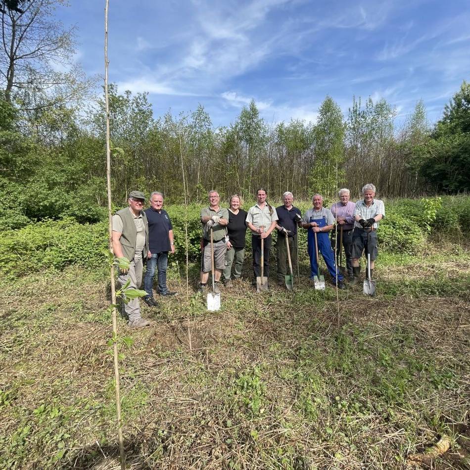 Baum des Jahres im Tannenbusch: Dormagener pflanzen gemeinsam eine Zitterpappel