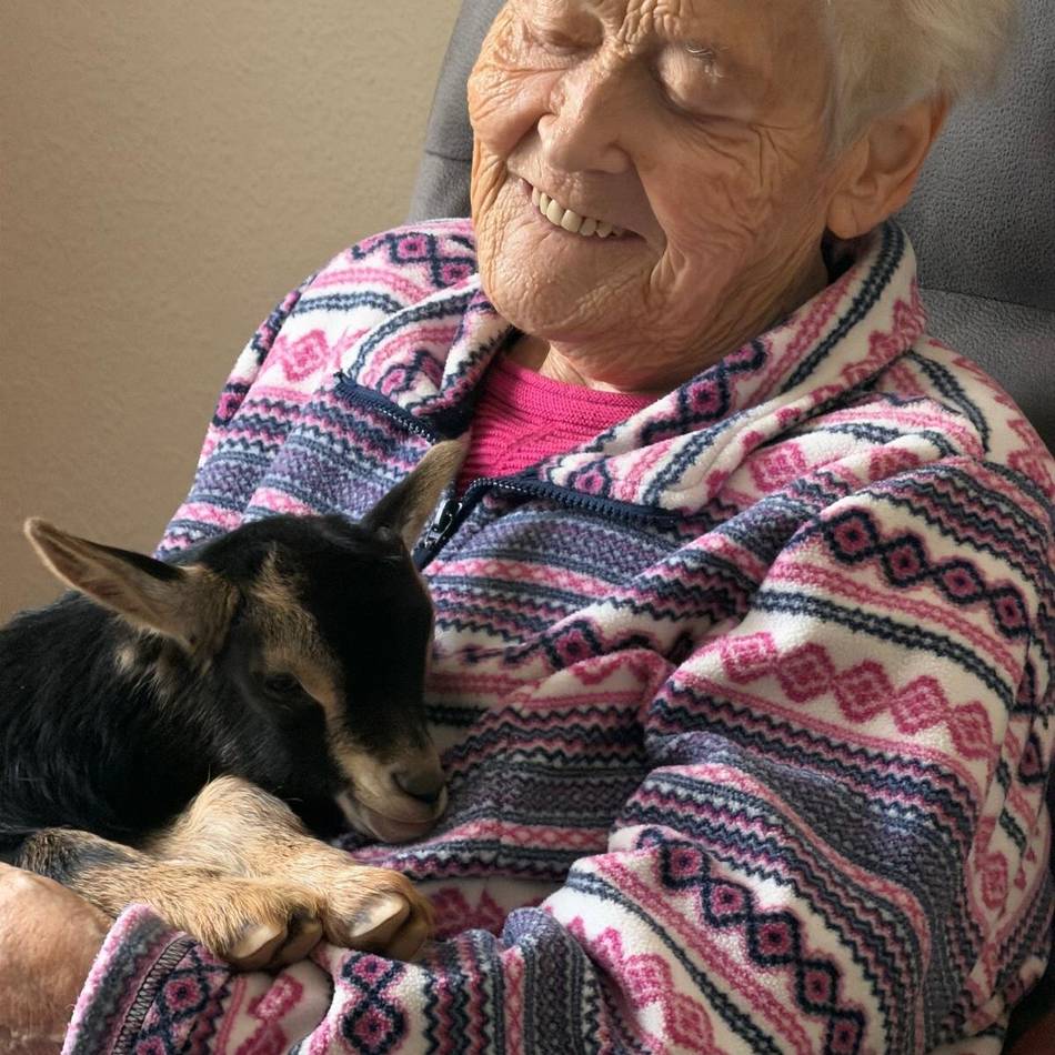 Hunde, Ziege und Lämmchen: Tierischer Besuch im Haus im Hagenland in Wachtendonk