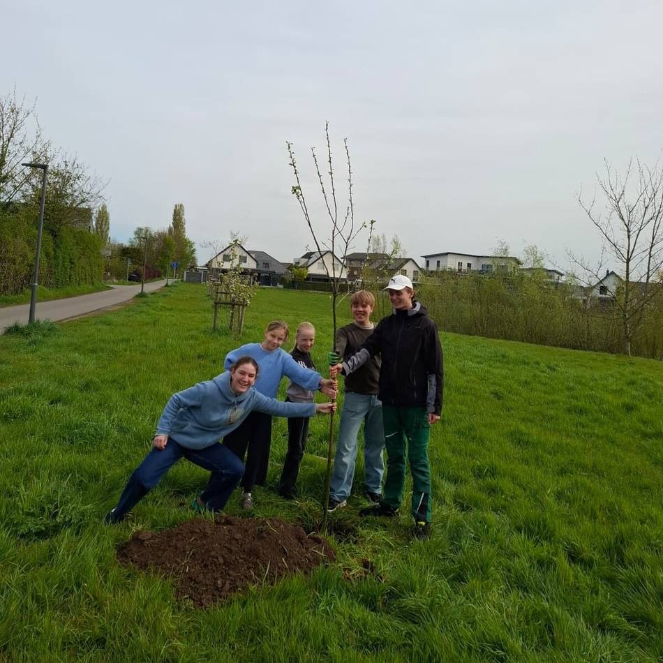 Baumpflanz-Challenge: Junges Xanten pflanzt Apfelbaum und nominiert Bürgermeister