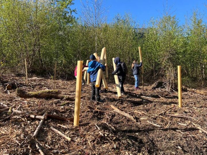 Stadt Radevormwald und KGS Lindenbaum: Bäumchen pflanzen zum „Planet Earth Day“