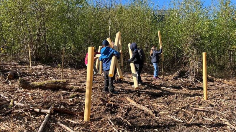 Stadt Radevormwald und KGS Lindenbaum: Bäumchen pflanzen zum „Planet Earth Day“