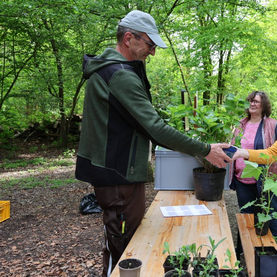 Zwischen Kirschbäumen und Tulpen: Orchidee sucht neuen Besitzer – 9. Pflanzentauschbörse in Grevenbroich