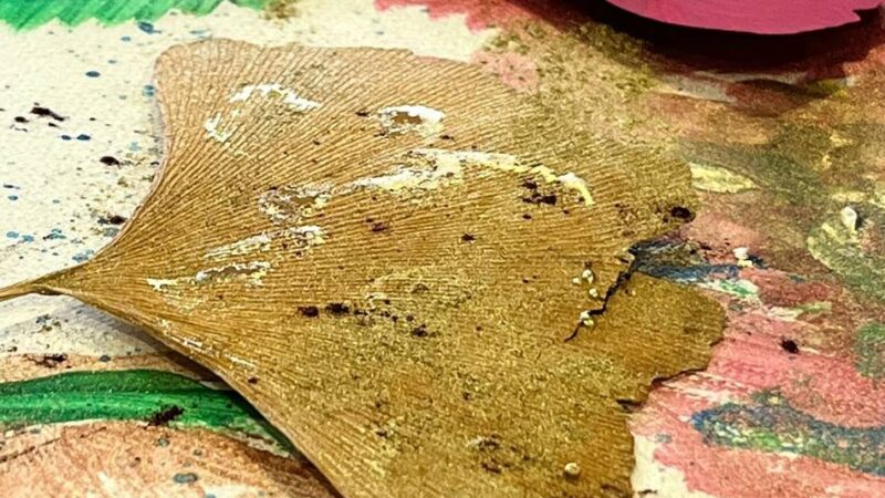 Ambulante Hospizgruppe Niederrhein: Zwischen Trauer und Trost – besonderer Workshop in Kevelaer