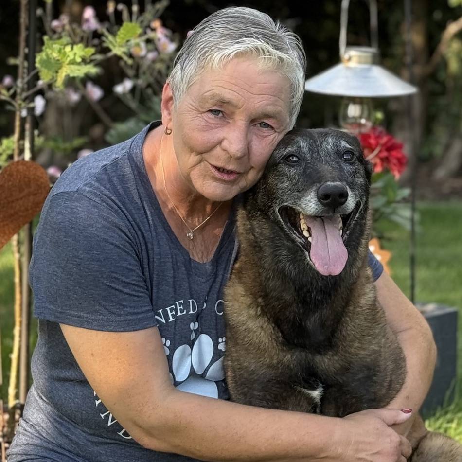 Gewalt beim Hundetraining – Schwalmtaler Trainerin berichtet: „Charakter und Individualität bleiben am Tor des Hundeplatzes zurück“