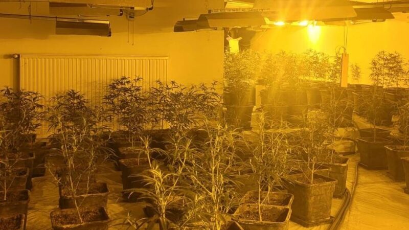 Landgericht Mönchengladbach: Anklage gegen zwei Männer wegen Cannabis-Handels