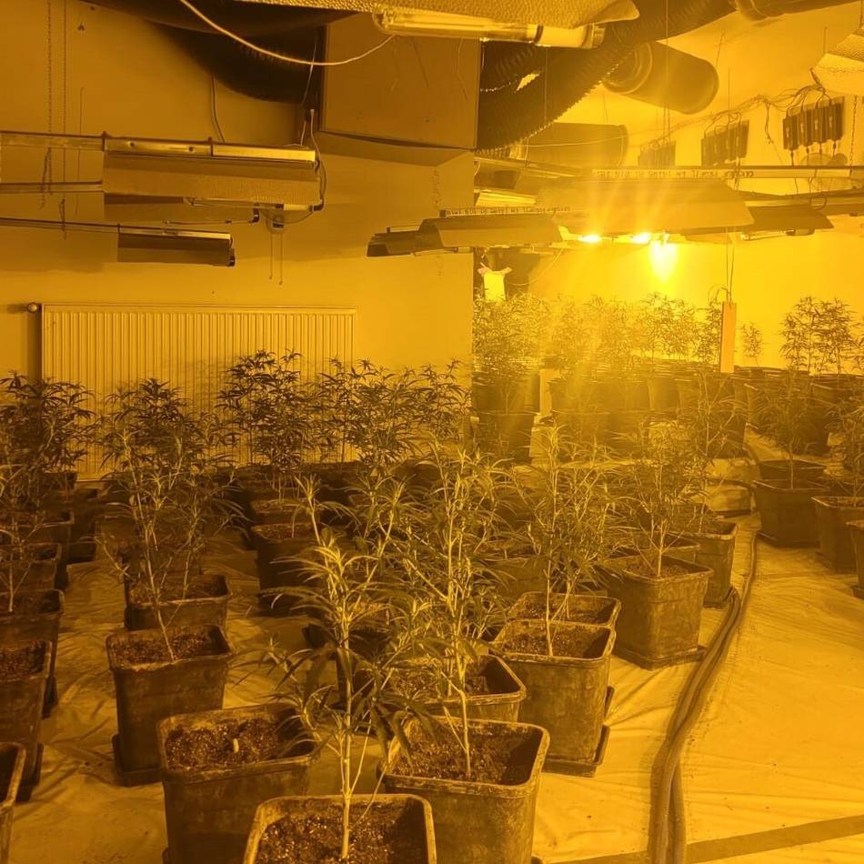 Landgericht Mönchengladbach: Anklage gegen zwei Männer wegen Cannabis-Handels