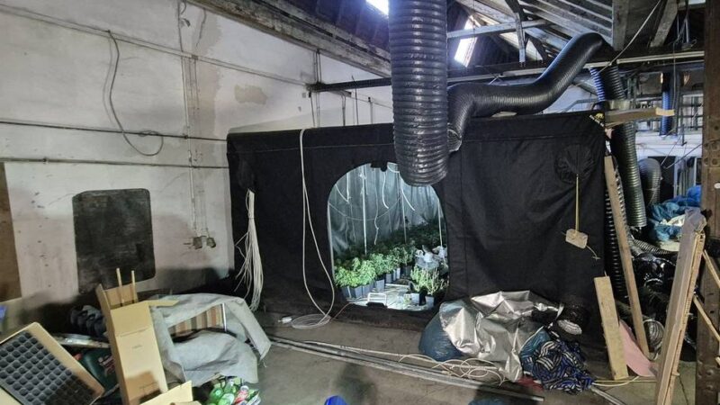 Vier Festnahmen in Remscheid: Ermittler entdecken professionelle Cannabis-Anlage in Lagerhalle