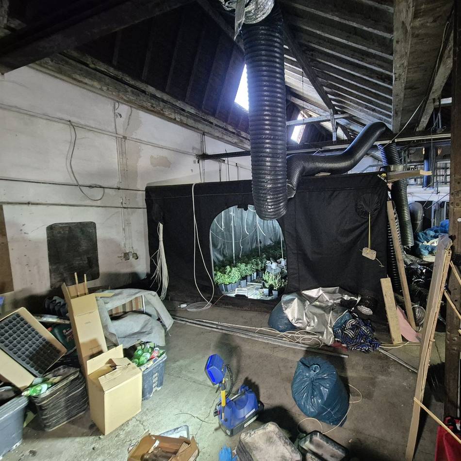 Vier Festnahmen in Remscheid: Ermittler entdecken professionelle Cannabis-Anlage in Lagerhalle