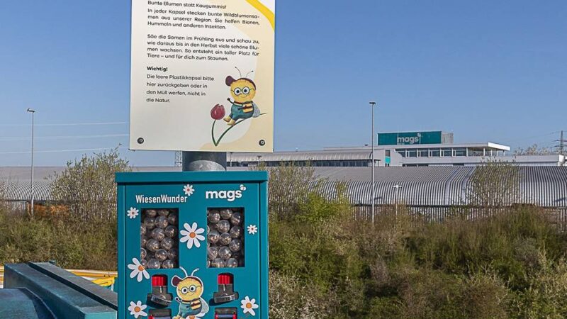 An Wertstoffhöfen in Mönchengladbach: Blumensamen statt Kaugummis