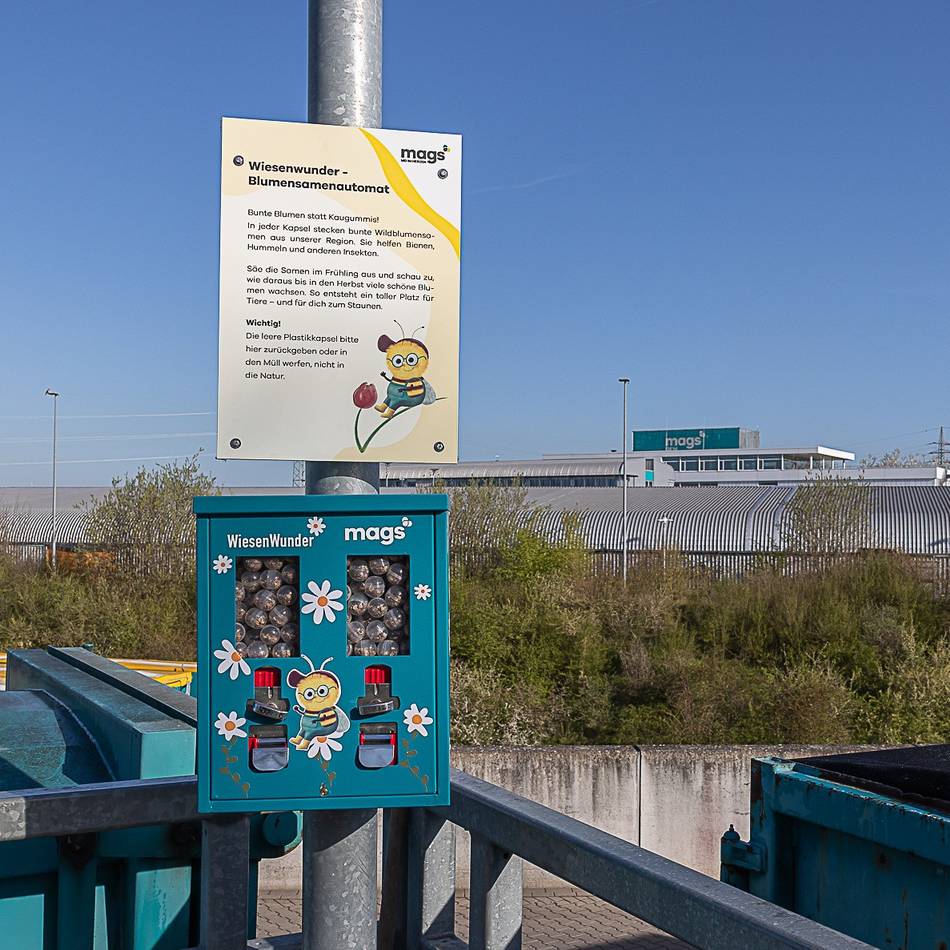 An Wertstoffhöfen in Mönchengladbach: Blumensamen statt Kaugummis