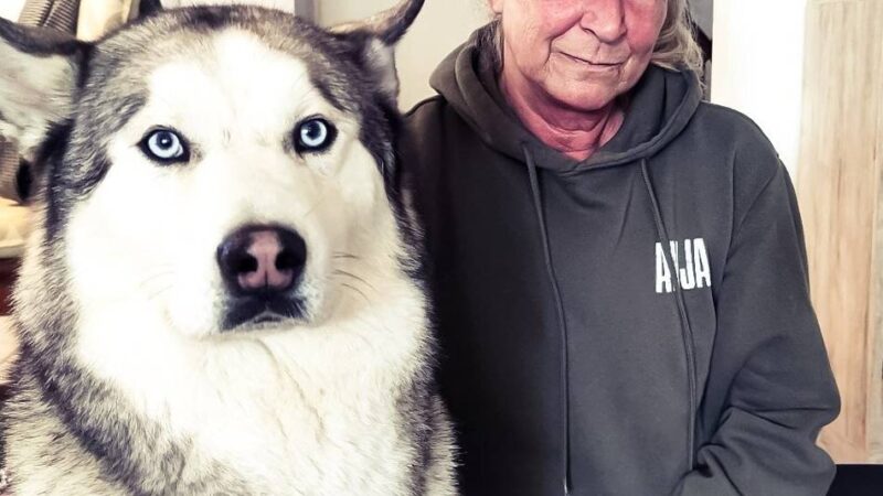 Musherin aus Schwalmtal nominiert: Waldnieler Huskys fahren zur WM