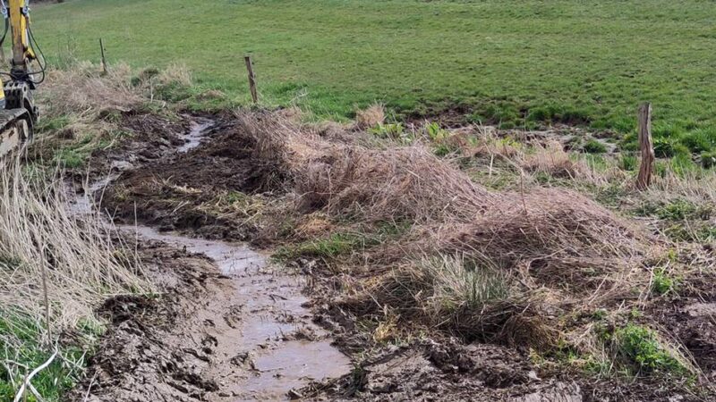 Naturschutz in Radevormwald: Arbeiten im Karthausener Bach bis Ende April