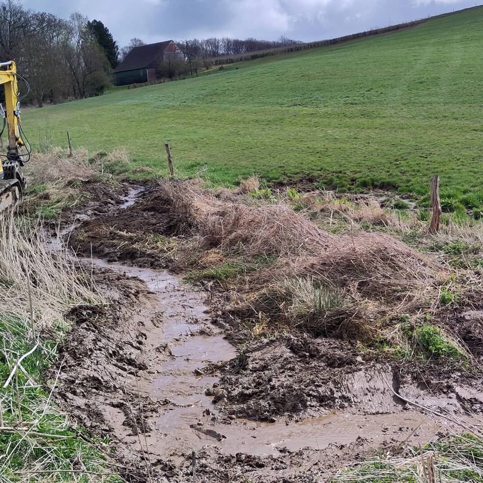 Naturschutz in Radevormwald: Arbeiten im Karthausener Bach bis Ende April