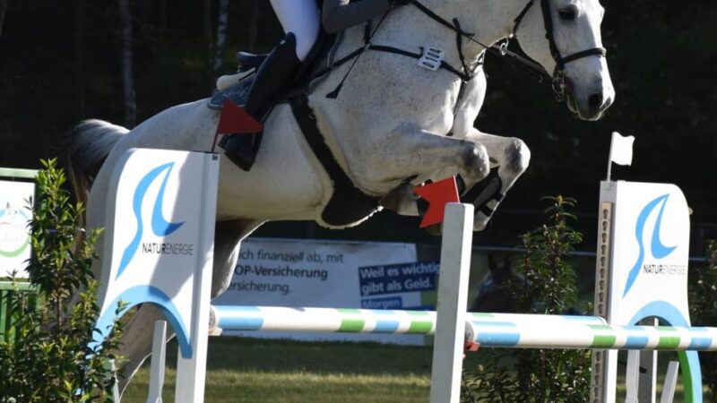 Pferdesport am Veener Bergweg: Georg Keisers setzt bei Heimturnier dickes Ausrufezeichen