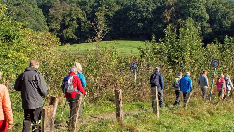 SGV Langenfeld/Monheim: Am 20. Mai gibt es eine Wanderung auf dem „Kettwiger Panoramasteig“
