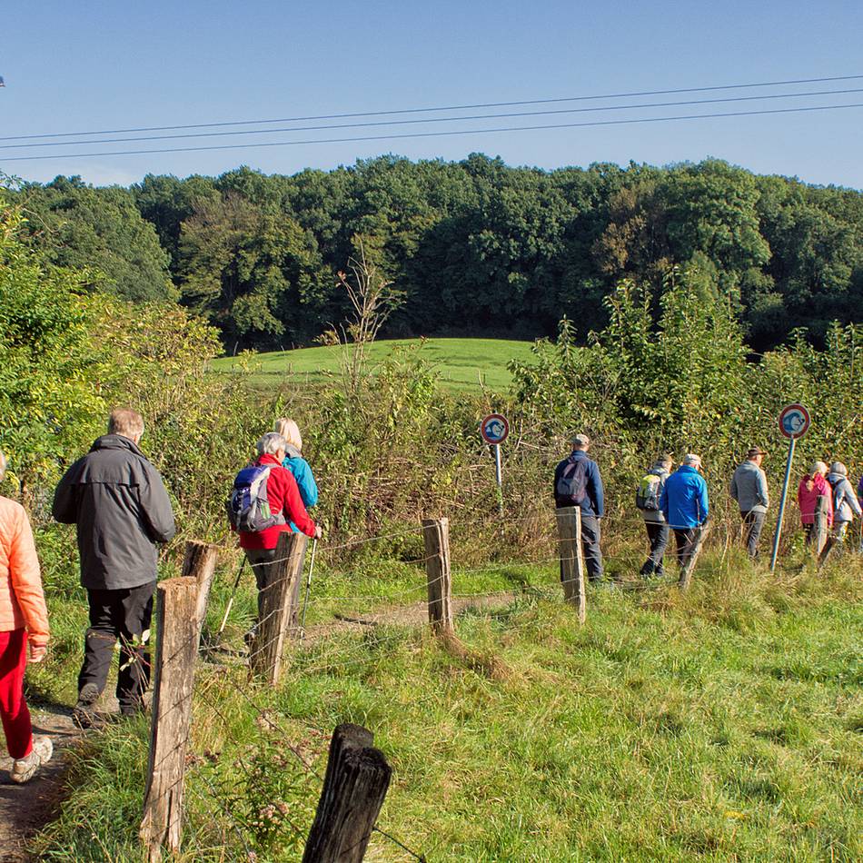 SGV Langenfeld/Monheim: Am 20. Mai gibt es eine Wanderung auf dem „Kettwiger Panoramasteig“