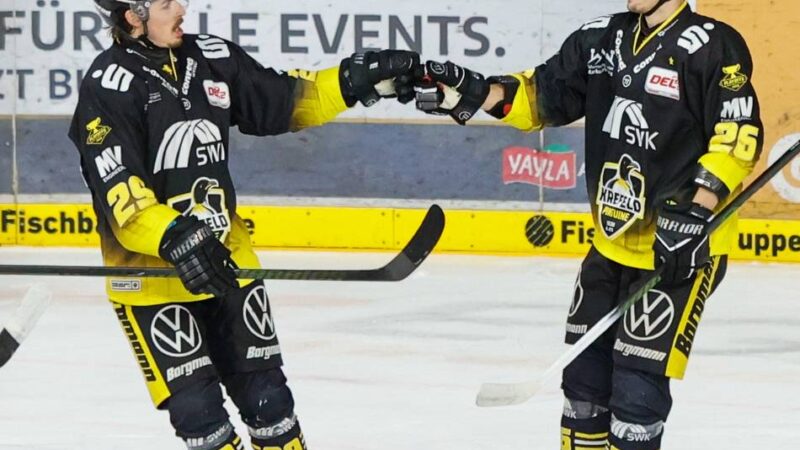 4:0 im dritten Halbfinal-Spiel: Krefelder Osterfeuer – Pinguine dominieren die Eisbären nach Belieben