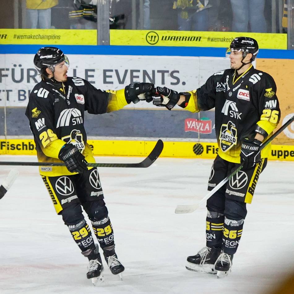 4:0 im dritten Halbfinal-Spiel: Krefelder Osterfeuer – Pinguine dominieren die Eisbären nach Belieben