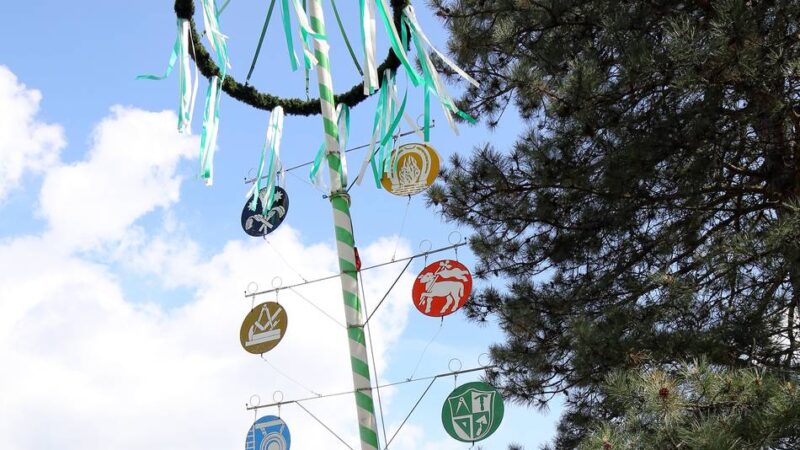 Am Reitweg in Vierbaum: Lohmühler Bürgerschützen laden zum Maibaumfest