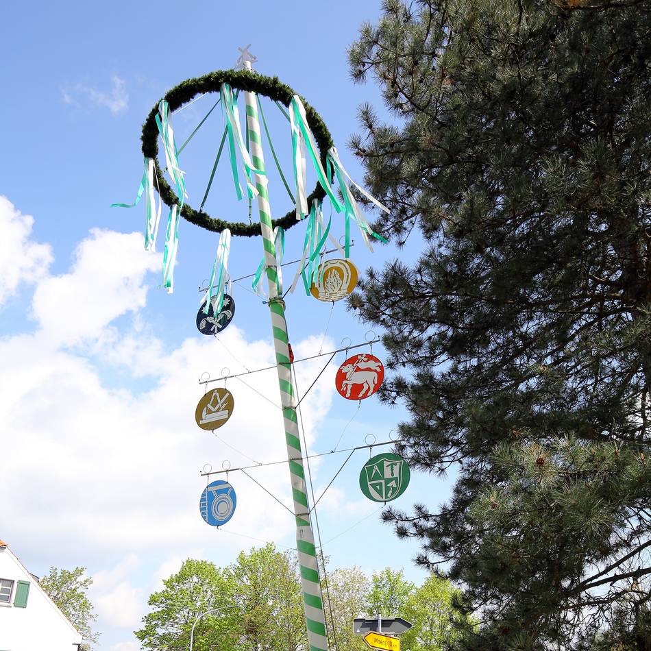 Am Reitweg in Vierbaum: Lohmühler Bürgerschützen laden zum Maibaumfest