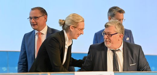 AfD: Millionenschwere Spende aus Österreich war illegal